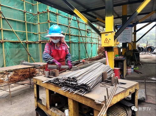 福建鑫鹭钨制品深加工项目 防疫复工双管齐下，建筑劳务分包助力建设有序推进